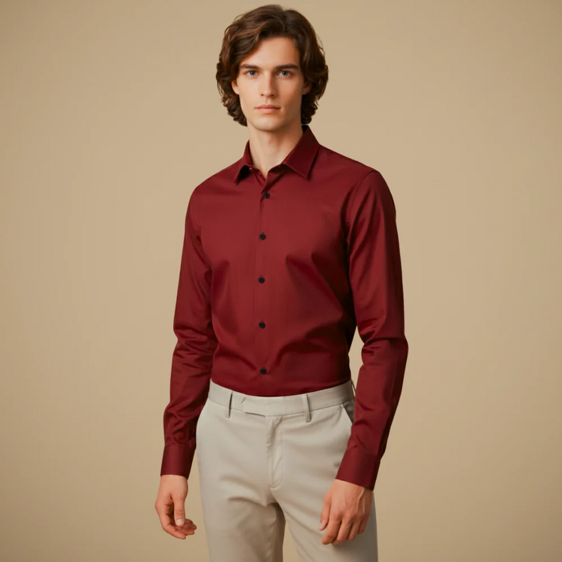 Men's Long Sleeve Button-Down Wrinkle-Free Shirt Fashion Grand