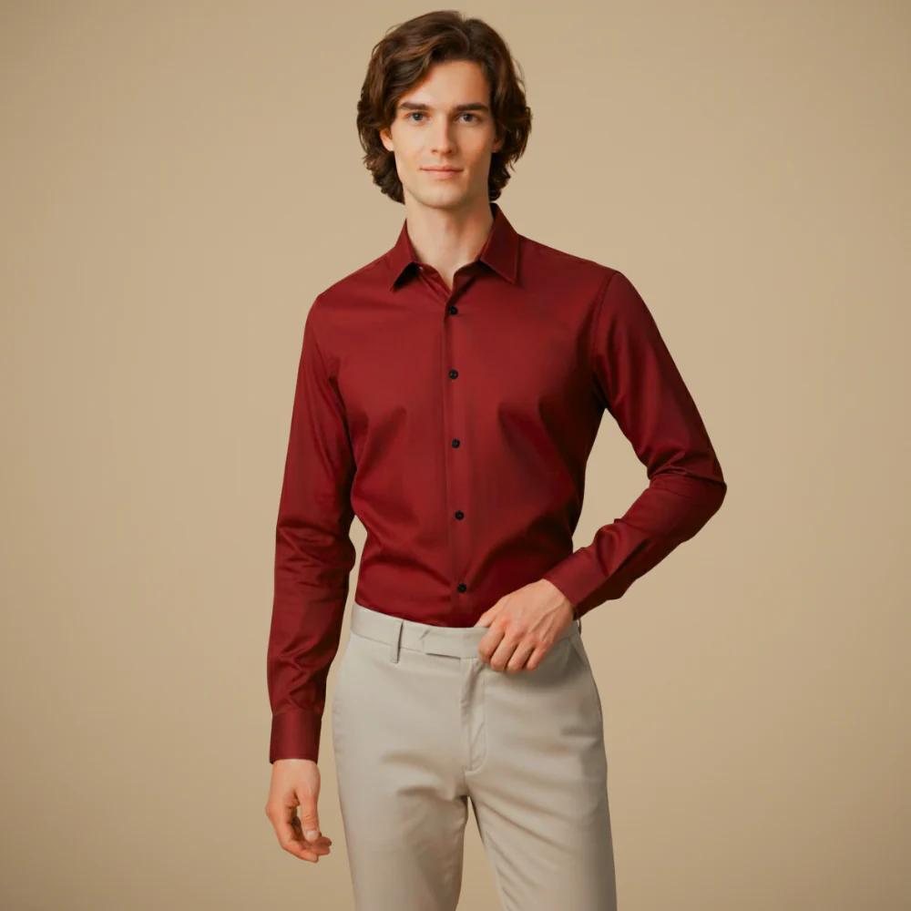 Men's Long Sleeve Button-Down Wrinkle-Free Shirt Fashion Grand