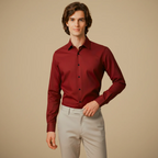Men's Long Sleeve Button-Down Wrinkle-Free Shirt Fashion Grand