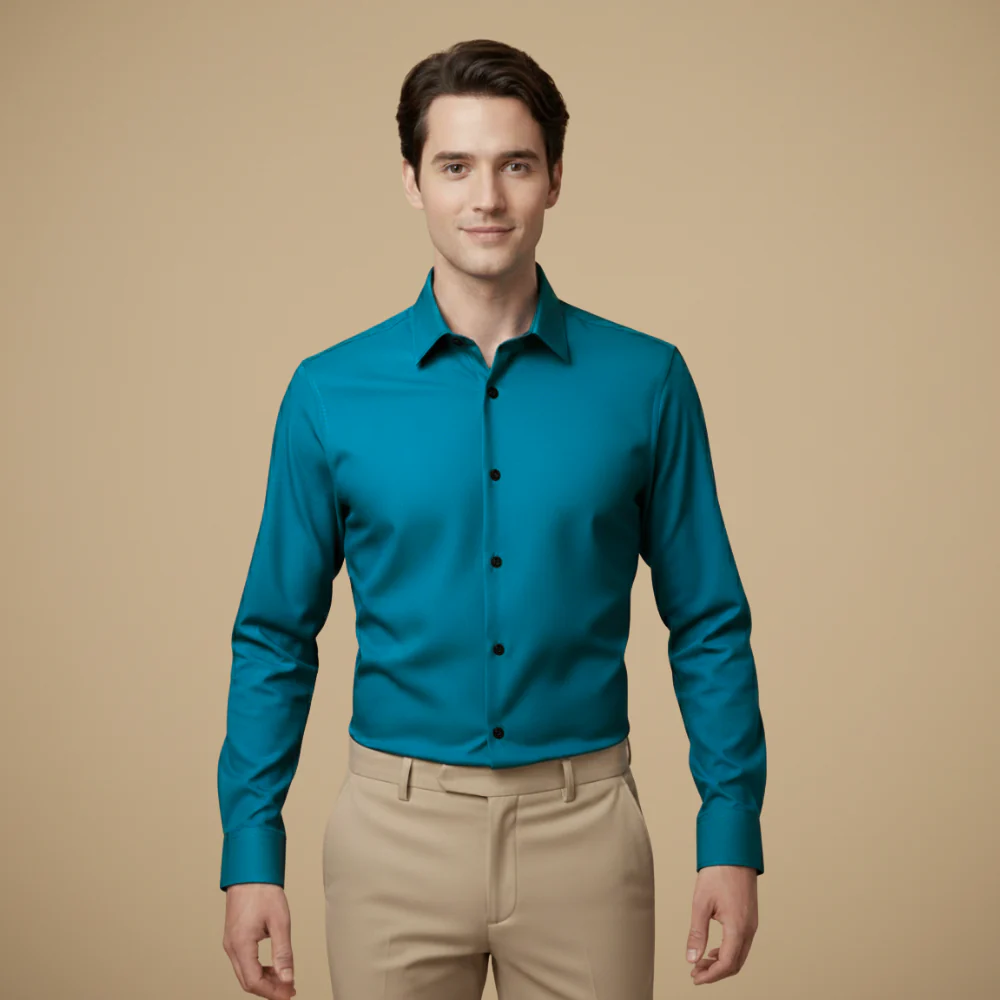 Men's Long Sleeve Button-Down Wrinkle-Free Shirt Fashion Grand